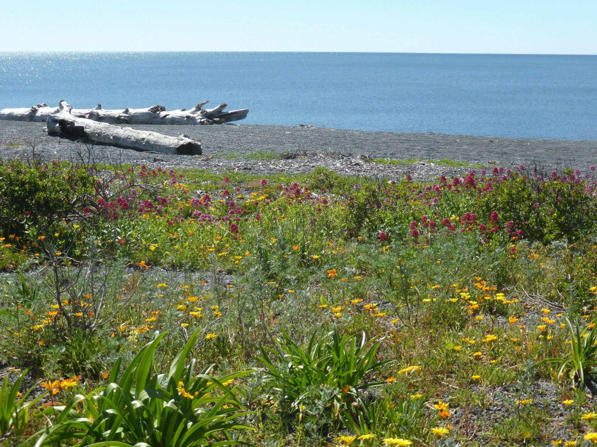 Napier Beach Top 10 Holiday Park & Motels Buitenkant foto